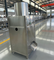 Machine à peler l'ail de type automatique à sec, robuste, en acier inoxydable SUS304, pour les usines de transformation de l'ail et l'industrie de la restauration