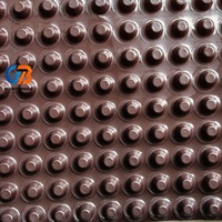 Planche de drainage en HDPE brun alvéolé, durable et populaire, pour drainage souterrain, avec prix d'usine