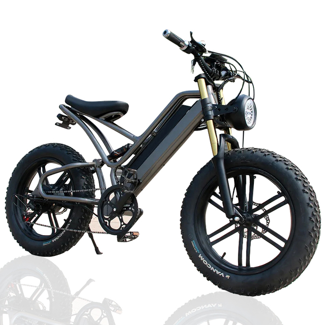 Low Price 20*48V Mtb Bike Fat Tire Dual Suspension Electric Bicycle Mountain Bike