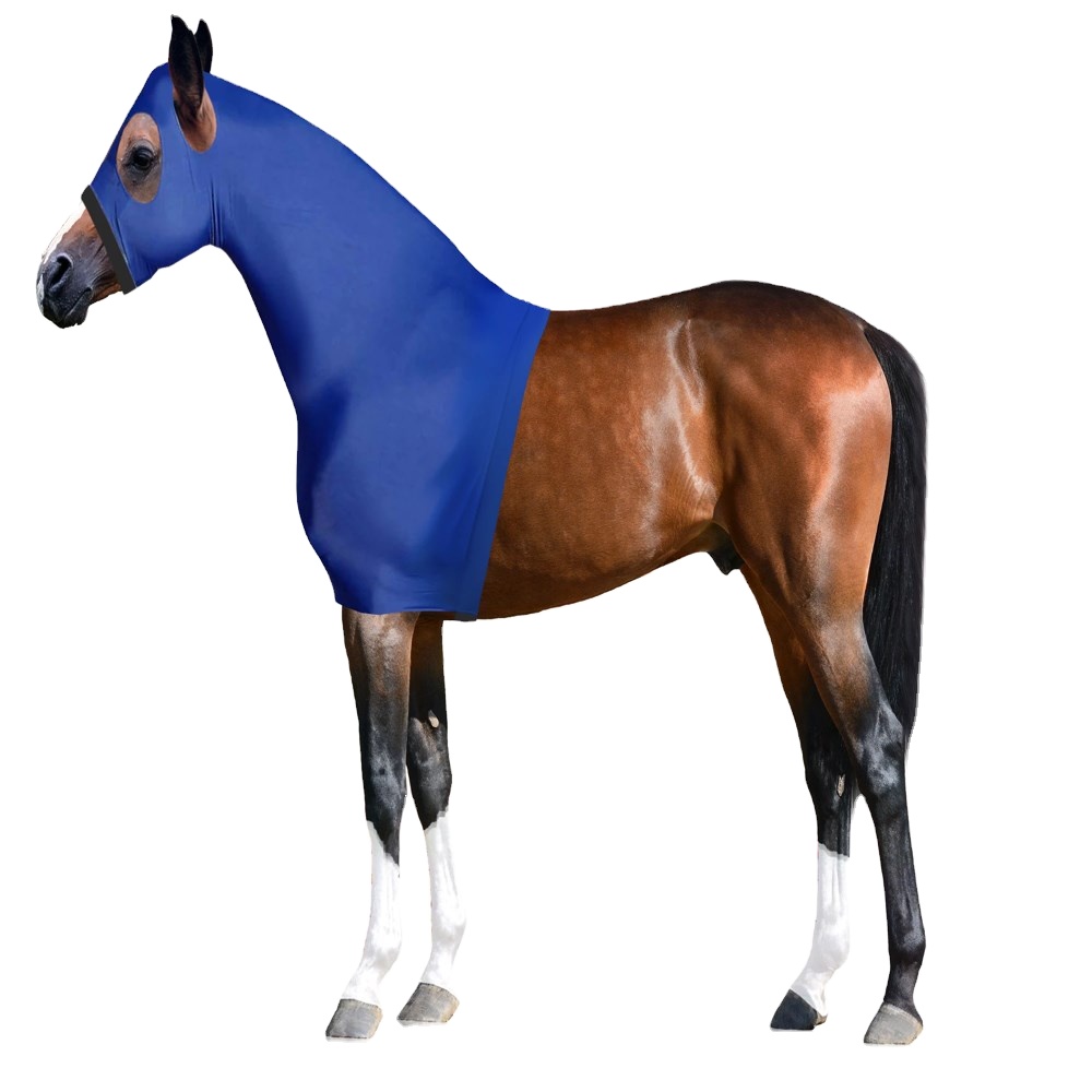 2019 впитывающий влагу новый стиль Натяжной капюшон для лошади