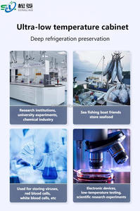 -25 à-86 degrés 28L petit congélateur vertical de laboratoire à faible consommation d'énergie - Product Image 3