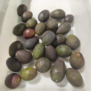 Промышленный промышленный автоматизированный Высокоэффективный двигатель DQ Guangzhou Daqiao, 1200 шт./ч - Product Image 2