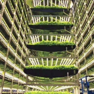 Aeroponic Growing System Greenhouse NFT Channel Irrigation & Hydroponics Equipment - Product Image 6