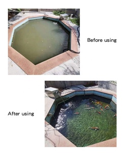 Filtre pour bassin d'eau douce, bassin <span class=keywords><strong>de</strong></span> jardin, villa, paysage, bassin <span class=keywords><strong>de</strong></span> pêche, aquariums, conception personnalisée - Product Image 2