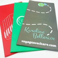 Porte-cartes d'assurance en PVC multicolore Porte-cartes promotionnel personnalisé