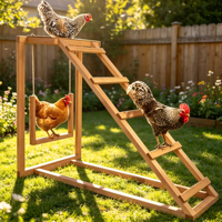 Vente en gros usine : Enclos à poules en bois d'extérieur avec balançoire et perchoir, pour poules de jardin
