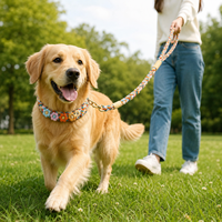 Laisse pour chien en corde de coton tressée à la main, motif floral arc-en-ciel, durable et élégante, pour chiens de petite, moyenne et grande taille, pour la promenade quotidienne