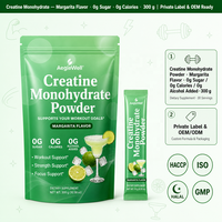 OEM Créatine Monohydrate en Sachet Goût Margarita Sans Alcool 30 Doses Soutien Quotidien à l'Entraînement Complément Alimentaire Marque Privée