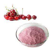 สารสกัดจากเชอร์รี่ Acerola 17% VC สารสกัดเชอร์รี่บริสุทธิ์ - Product Image 4