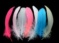 Plumes d'oie blanches naturelles de 4 à 6 pouces en gros pour chapeaux, cadeaux, emballages, accessoires de coiffure, carnaval