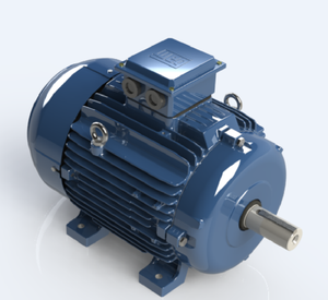 Motor Asíncrono Trifásico Estándar WEG W20, RPM 315kW, 50/60Hz, 380V CA, Eficiencia IE3, IP55, TEFC, Refrigeración por Aire - Product Image 5