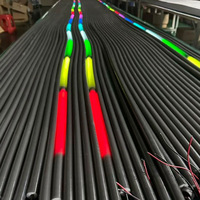 Bande lumineuse néon irisée entièrement noire circulaire à éclairage 360 degrés, programmable DMX, IP68, basse tension 24V pour projets de bars et KTV