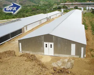 Equipos de alimentación automática galvanizados en caliente de China, estructura de acero, granja avícola, Gallinero