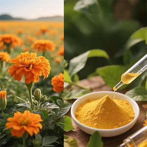 خلاصة اللوتين الطبيعي (بخلاصة تقييم من الخارج) (بخلاصة خلاصة القطيفة)-منتجات صحية طبيعية - Product Image 2