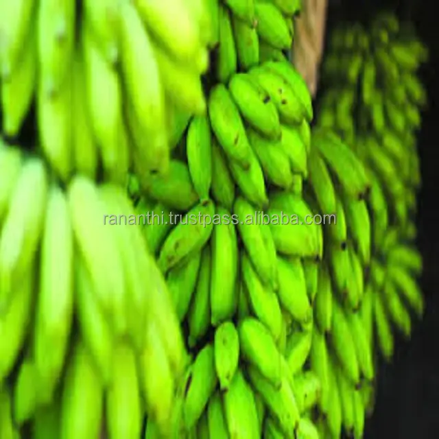 Свежий зеленый банан для продажи