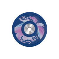 Plaque de poids pour bumper de CPU multicolore VANBO Factory, diamètre 450 mm, impression UV, motif personnalisé, 5 à 25 kg, pour usage commercial en salle de sport
