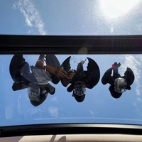 Jouet de toit de voiture style animal sans dents, petit dragon volant en peluche, pendentif extérieur pour voiture, fabriqué en Chine, TikTok