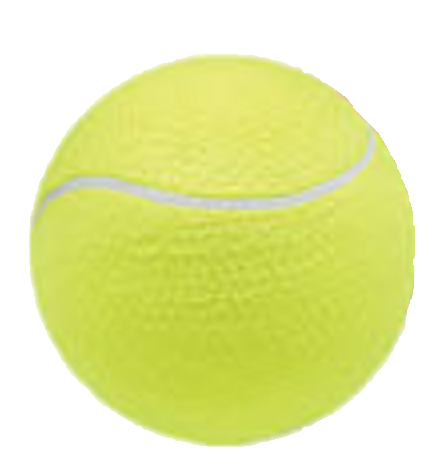 Custom printed big 9.5" inflatable tennis balls for dog