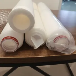 20 Inch Pleated Filter 0.2 0.45 Micron Ptfe Membrane Cartridge Filter With Stainless Steel Filter Core