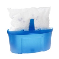 Sachet de recharge déshydratant écologique au chlorure de calcium de 450g avec boîte déshumidificatrice pour la maison, élimination de la moisissure et anti-humidité