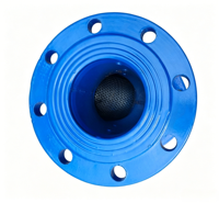 Filtre en Y à bride en fonte ductile DN25-DN125 PN16 PN10 pour conduite d'eau, vanne de filtration industrielle de type Y
