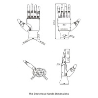 Inspire Robots - Mano Robótica Humanoide Diestra RH56BFX RH56DFX, Pinzas Robóticas Antropomórficas para Investigación y Educación