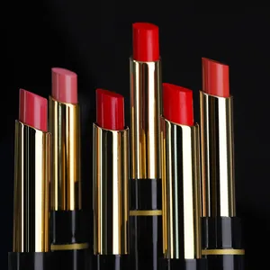 2022 Wholesale Make Your Own Brand 2 in 1 Lip Liner Moisturizing Lipstick