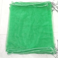 Op maat gemaakte mesh tas voor het beschermen van dadels, groene of witte palmboom mesh tas met zwarte trekkoord