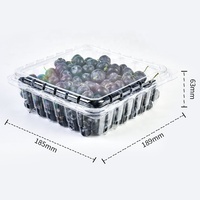 Boîte à fruits jetable en PET de 1,5 lb, emballage blister, conteneur en plastique pour fraises, raisins, myrtilles, à emporter, pour la conservation des aliments frais