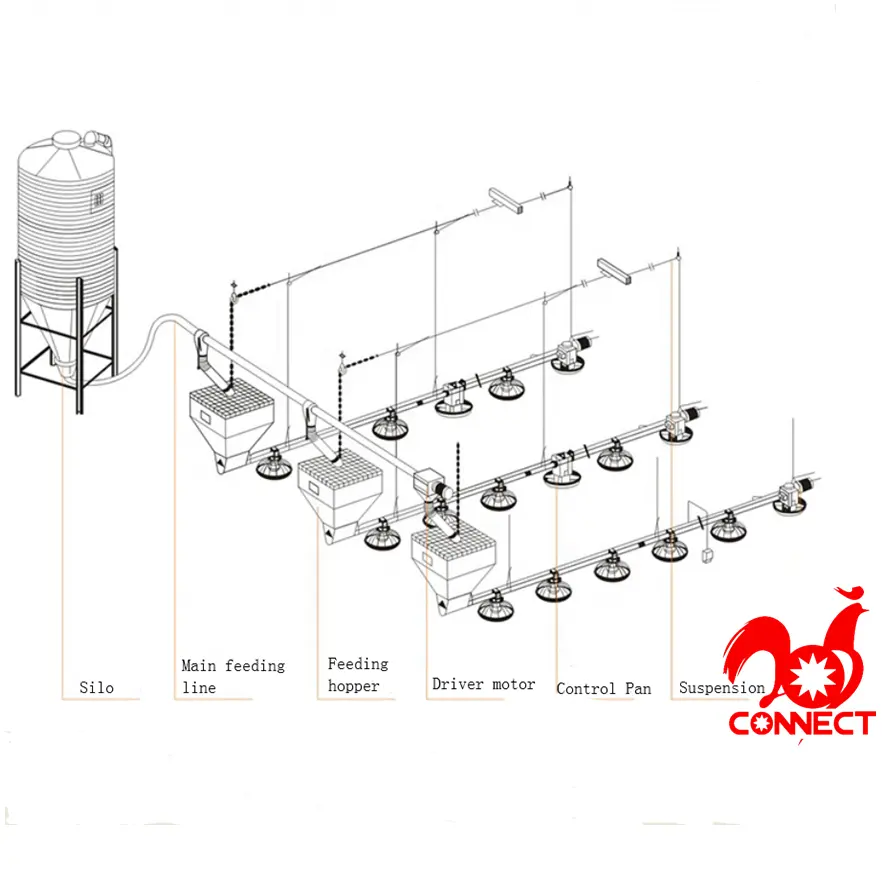 फैक्टरी आपूर्तिकर्ता गुणवत्ता पोल्ट्री फार्म खिला उपकरण स्वचालित खिला लाइन पानी पीने प्रणाली