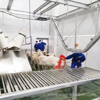 Équipement complet et personnalisable pour ligne d'abattage halal de moutons et de chèvres, pour projets d'abattoirs clés en main