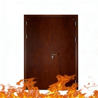 Portes coupe-feu personnalisables pour hôpitaux et écoles, avec portes en acier certifiées résistantes au feu et portes en acier de sécurité