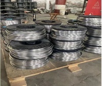 Fil en alliage de plomb et d'antimoine 1,2 mm 3 mm 4,2 mm 5 mm 6 mm Fil de plomb pur pour soudure électrique