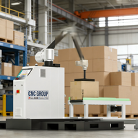 Robot palettiseur cobot 6 axes 30 kg économique avec bras motorisé en acier inoxydable pour l'empilage automatique de cartons