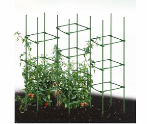 Cage à tomates à 3 anneaux assemblée en usine, nouveau <span class=keywords><strong>support</strong></span> de <span class=keywords><strong>plantes</strong></span> de jardin <span class=keywords><strong>pour</strong></span> la vente en gros - Product Image 1