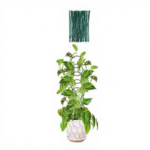 Treillis circulaire en métal de 17,5 pouces <span class=keywords><strong>pour</strong></span> plantes grimpantes d'intérieur et fleurs Hoya, support <span class=keywords><strong>pour</strong></span> petits jardins et plantes en pot - Product Image 1