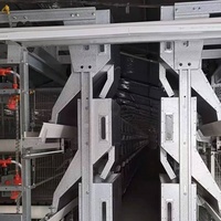 Conception professionnelle de fabricant chinois 3 niveaux H Type grand poulet de chair viande poulet machines d'élevage élevage batterie Cage à vendre