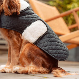 <span class=keywords><strong>Veste</strong></span> coupe-vent personnalisée <span class=keywords><strong>pour</strong></span> chiens, vêtements résistants à l'eau <span class=keywords><strong>pour</strong></span> chiens, teckel, lévrier d'extérieur, manteau <span class=keywords><strong>pour</strong></span> animaux <span class=keywords><strong>de</strong></span> compagnie - Product Image 3