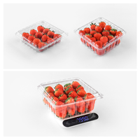 Pasokan pabrik blister transparan hewan peliharaan 1000g kotak paket buah blueberry clamshell wadah hewan peliharaan 170g plastik blueberry punnet