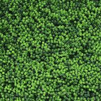 Tanaman bunga buatan dekorasi rumah, rumput hijau plastik kualitas tinggi 50*50cm