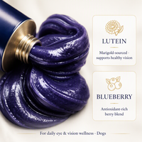 Pasta Nutrisi Perawatan Mata Lutein Blueberry untuk Anjing Formula Premium Antioksidan 5 Lapis 30g 60g 120g Label Pribadi
