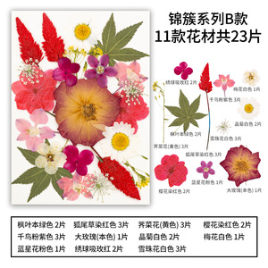 22-25 pièces/paquet, fleurs séchées pressées de la série JC, combinaison pour cadre photo en résine, <span class=keywords><strong>plante</strong></span> naturelle, Saint-Valentin, Pâques - Product Image 3