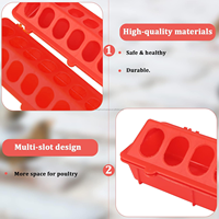 Fournitures d'alimentation en plastique, ensemble de mangeoire et d'abreuvoir pour poulets de 1 L, distributeur d'aliments à couvercle rabattable pour la volaille de petite taille, oiseaux de cour