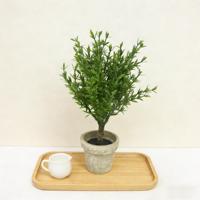 Pohon Buatan 21CM Warna Hijau Muda Rosemary Pohon Bonsai Kecil dengan Pot Pulp Vintage Tanaman Herbal Mini dalam Pot untuk Dekorasi Rumah