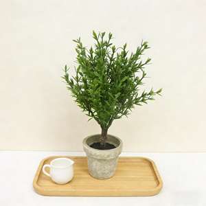 Arbres artificiels de 21 cm, vert clair, <span class=keywords><strong>romarin</strong></span>, petit arbre bonsaï avec pot en pulpe vintage, mini plante en pot pour la décoration de la maison - Product Image 4