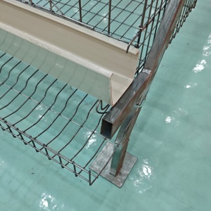 Diseño <span class=keywords><strong>de</strong></span> Granja Avícola, Jaulas para Pollos, Gallineros <span class=keywords><strong>de</strong></span> Baterías para Gallinas Ponedoras, Jaulas <span class=keywords><strong>de</strong></span> Cría para Gallinas Ponedoras en Venta en Argelia - Product Image 4