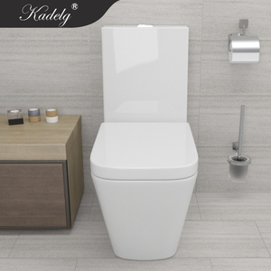 Tiêu Chuẩn Châu Âu Vệ Sinh Một Mảnh Gốm Nhà Vệ Sinh Bát Hiện Đại Kéo Dài Dual-Flush P-Trap S-Trap Thoát Nước Cho Phòng Tắm Sử Dụng - Product Image 2