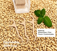 Fil dentaire compostable en blé avec manche, bâtonnets de fil dentaire écologiques et biodégradables, produit buccal sans plastique