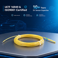 Cable de Sensor de Temperatura RTD PT100 de 3 Hilos de Alta Precisión para Vehículos Eléctricos de Nueva Energía, Termistor PTC de Acero Inoxidable 304