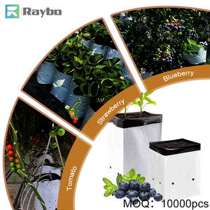 Sacs de culture en plastique RAYBO pour semis et plantes, 5 gallons, 2, 3, 5, 10, 20 gallons, pour légumes, blanc - Product Image 1